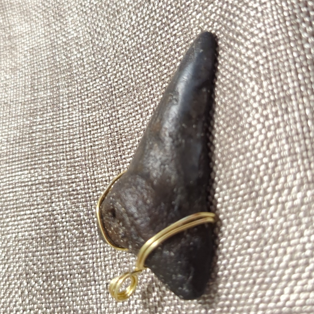 Megalodon Shark Tooth 2.85 Inches Comes With Frame And Removable Wire Wrap. - Picture 3 of 6